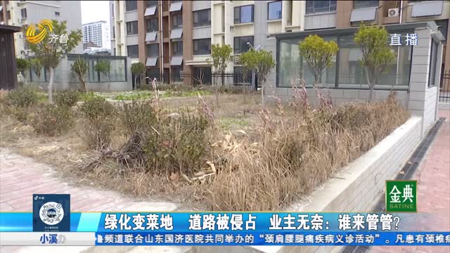 無棣：小區綠化變菜地 道路被侵占 業主很無奈