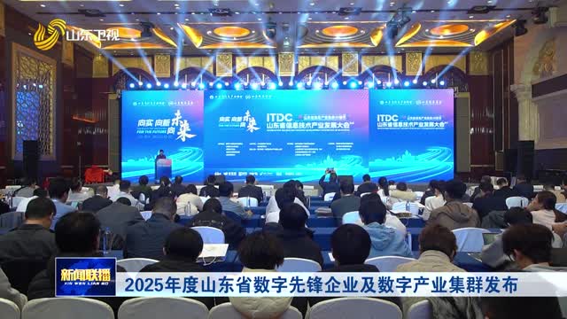 2025年度山東省數字先鋒企業及數字產業集群發布