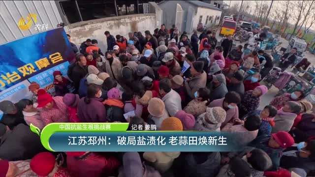 【雙剪抗鹽生根菌】江蘇邳州：破局鹽漬化 老蒜田煥新生