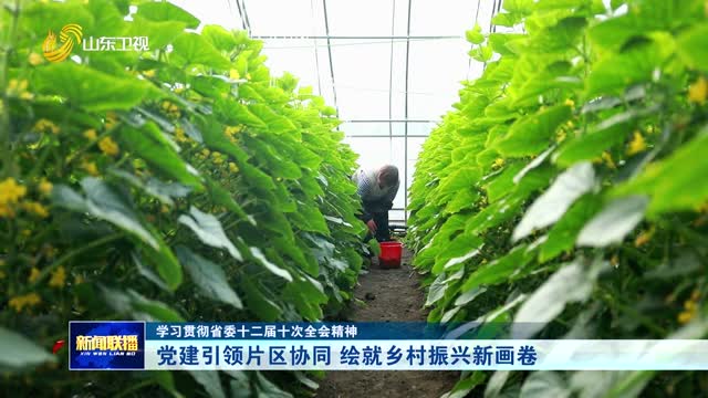 党建引领片区协同 绘就乡村振兴新画卷【学习贯彻省委十二届十次全会精神】
