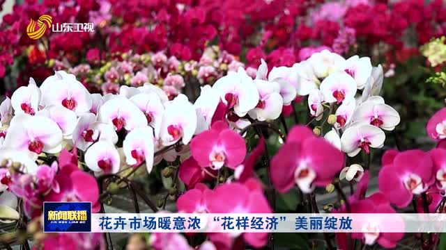 花卉市场暖意浓 “花样经济”美丽绽放