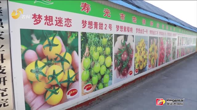 【片區(qū)化推進(jìn)鄉(xiāng)村振興的山東實(shí)踐】濰坊：找準(zhǔn)賽道 精準(zhǔn)出擊 組團(tuán)“出圈”