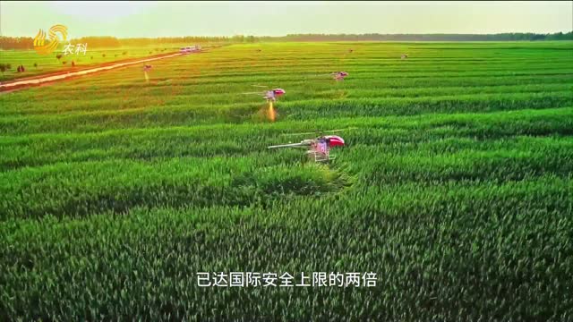 來自南極深海——雙剪抗鹽生根菌！