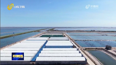 “大食物观”里的渔业产业升级【学习贯彻省委十二届十次全会精神】