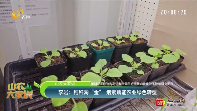 【山農(nóng)大家說】李巖：秸稈淘“金” 煙素賦能農(nóng)業(yè)綠色轉(zhuǎn)型