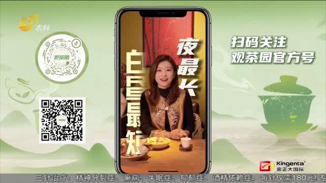 【观茶园】冬至 一壶陈皮正当时