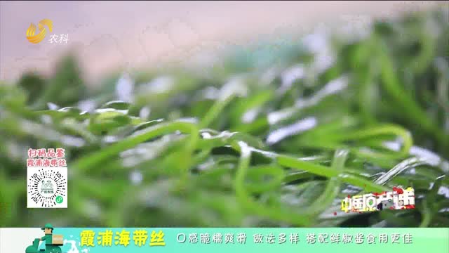 20251221《中国原产递》：霞浦海带丝