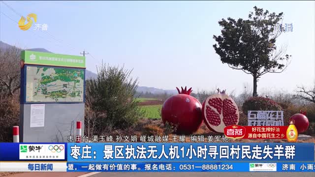 【点赞山东人】枣庄：景区执法无人机1小时寻回村民走失羊群