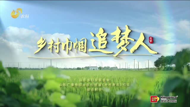 【鄉(xiāng)村巾幗追夢人】于桂華：育苗棚里的“希望播撒者”