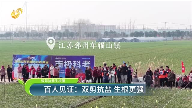 【雙剪抗鹽生根菌】百人見證：雙剪抗鹽 生根更強