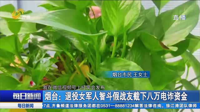 烟台：退役女军人智斗假战友截下八万电诈资金