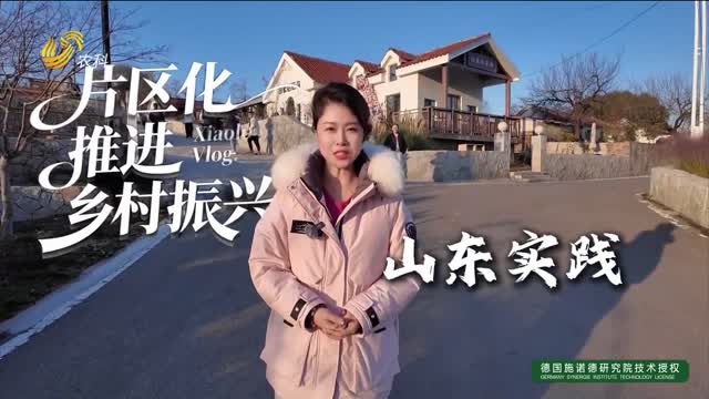 【片區(qū)化推進(jìn)鄉(xiāng)村振興的山東實(shí)踐】青島：三個(gè)關(guān)鍵詞打開片區(qū)發(fā)展的“終極密碼”