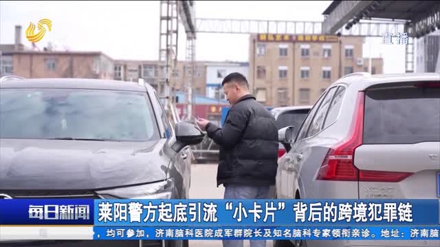 莱阳警方起底引流“小卡片“背后的跨境犯罪链