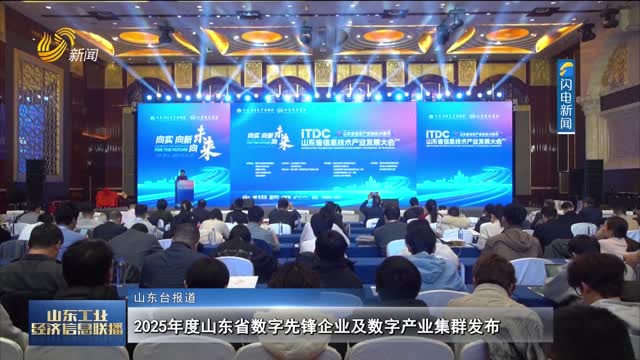2025年度山东省数字先锋企业及数字产业集群发布