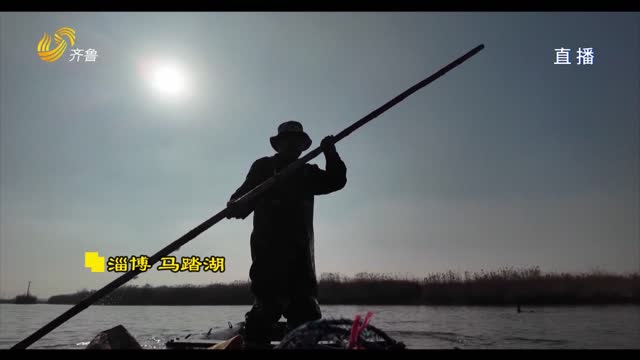淄博：冬季湖上“渔猎图”鱼鹰捕鱼秀功夫