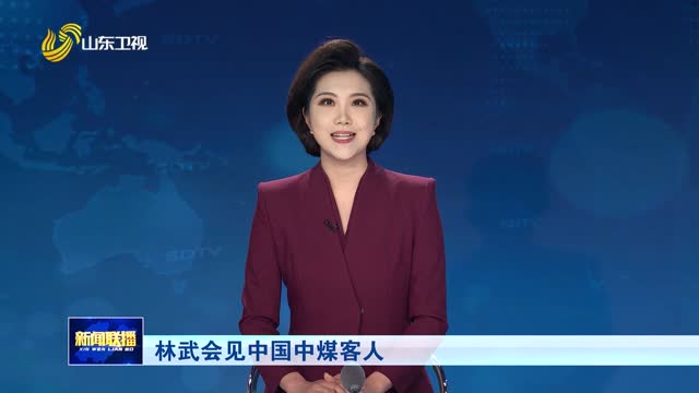 林武会见中国中煤客人