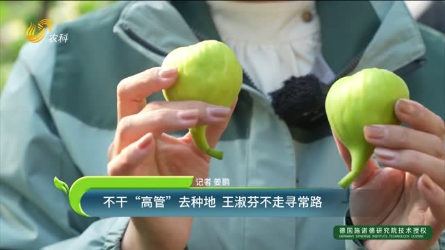 不干“高管”去種地 王淑芬不走尋常路