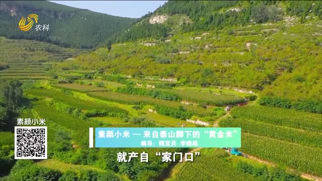 20251227《中国原产递》：素颜小米