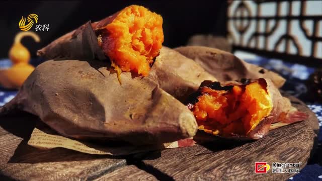 劉朝麗的地瓜傳奇