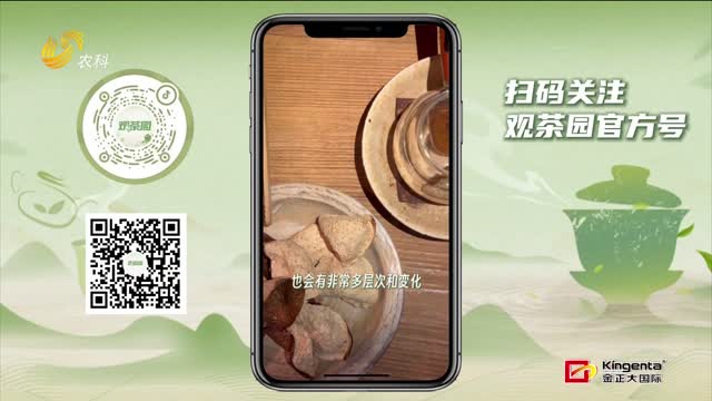 【观茶园】解锁“陈皮CP” 怎么喝出“1+1&gt2”的效果？
