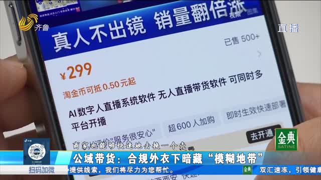 “网购乱象”如何真正管得住？