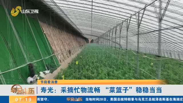 【節前看消費】壽光：采摘忙物流暢 “菜籃子”穩穩當當