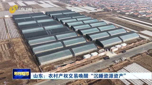 山東：農(nóng)村產(chǎn)權(quán)交易喚醒“沉睡資源資產(chǎn)”