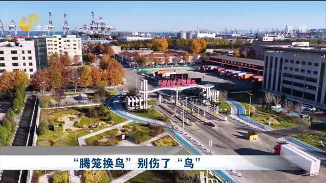 “腾笼换鸟”别伤了“鸟”