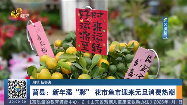 莒县：新年添“彩” 花市鱼市迎来元旦消费热潮