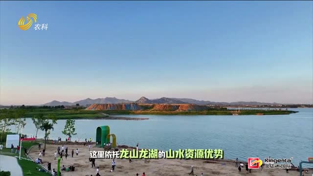 【片區(qū)化推進鄉(xiāng)村振興的山東實踐】滕州“龍湖月色”片區(qū)：十村聯建吃上“文旅飯”