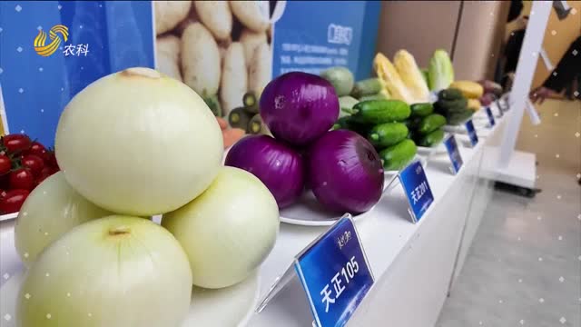 三十年磨一劍 ｜ 山東攥緊“農(nóng)業(yè)芯片” 種業(yè)突圍有多硬核？