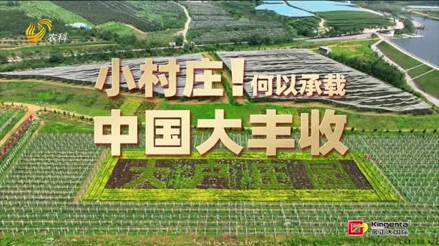 小山村何以承載中國大豐收：大戶陳家村的豐收密碼