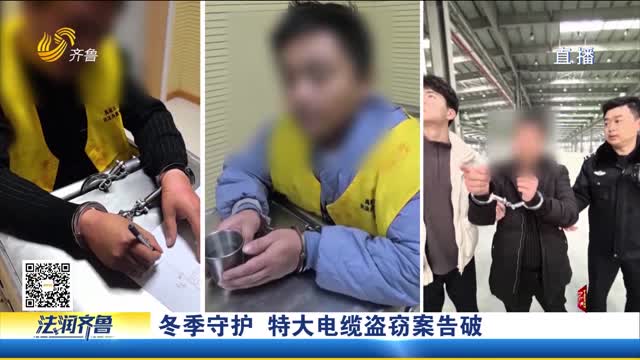 法治现场：禹城警方侦破特大电缆盗窃案