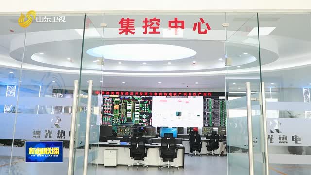 淄博：“绿色蒸汽”直达车间 助力企业出海闯市场