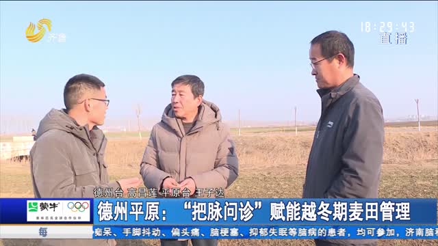 德州平原：“把脉问诊”赋能越冬期麦田管理