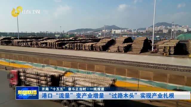 港口“流量”变产业增量 “过路木头”实现产业扎根【开局“十五五” 奋斗正当时·一线报道】