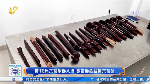 带10斤木质乐器入境 竟是濒危紫檀木制品