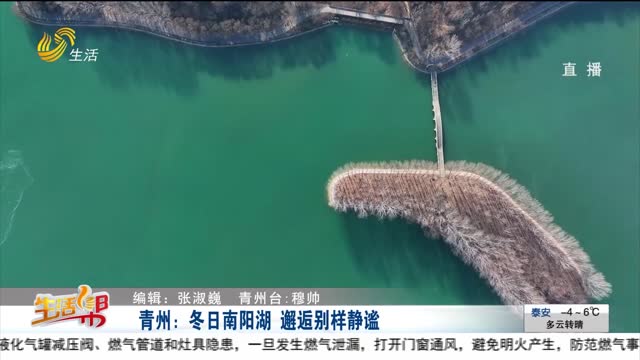 青州：冬日南阳湖 邂逅别样静谧