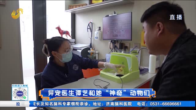 27岁姑娘开异宠医院 专治“海陆空”不常见宠物