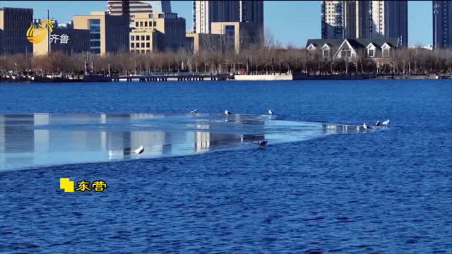 东营：碧水蓝天 水鸟翩跹
