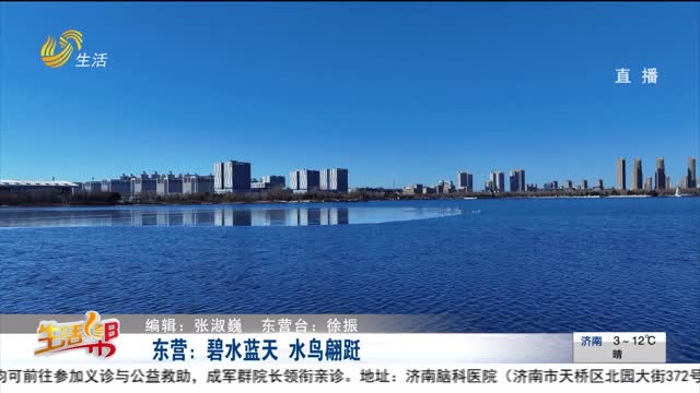东营：碧水蓝天 水鸟翩跹