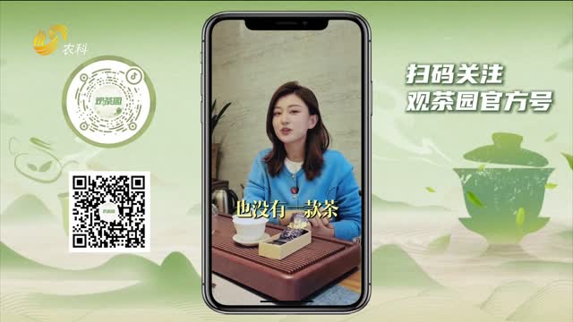 【观茶园】从“茶王”到“过气” 铁观音经历了什么？