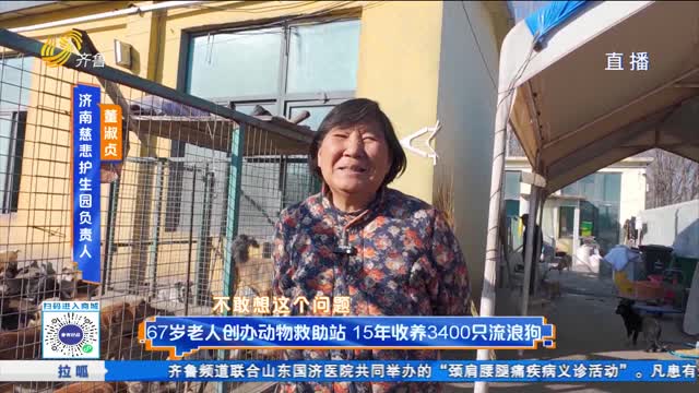 67岁老人创办动物救助站 15年收养3400只流浪狗