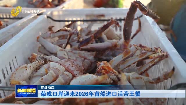 荣成口岸迎来2026年首船进口活帝王蟹【市县动态】
