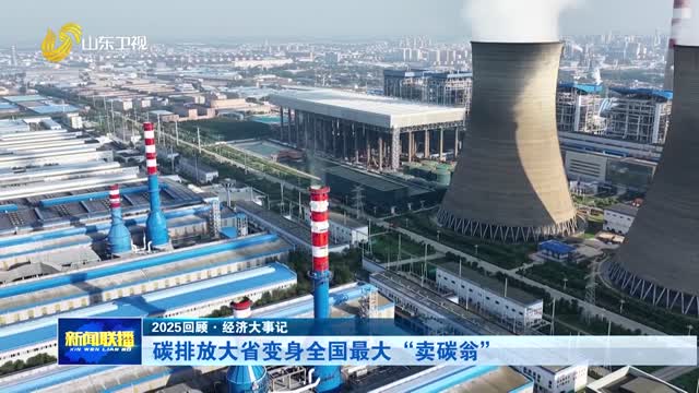 碳排放大省變身全國最大“賣碳翁”【2025回顧·經濟大事記】