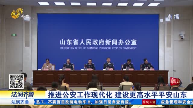 权威发布：推进公安工作现代化 建设更高水平平安山东