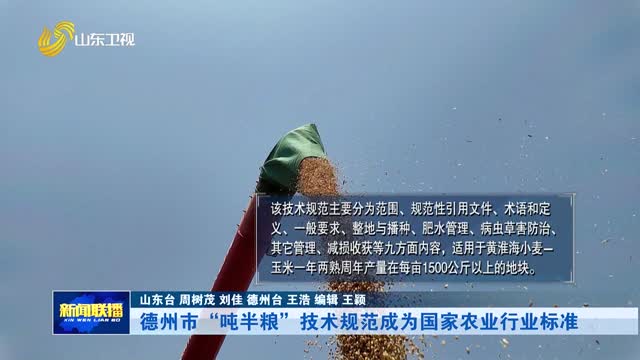 德州市“吨半粮”技术规范成为国家农业行业标准【市县动态】