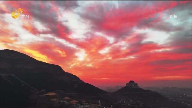 山东多地出现朝霞美景