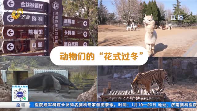 “三九“寒冬 动物们怎么防寒保暖？