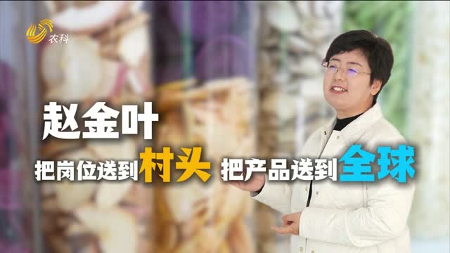 【鄉約“她力量”】趙金葉：把崗位送到村頭 把產(chǎn)品送到全球